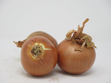 Cipolla Rossa