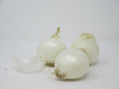 Cipolla Bianca
