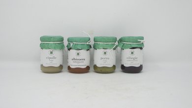 Crema di cipolle Cesare Bertoia