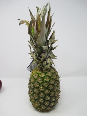 Ananas