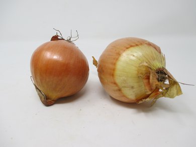 Cipolla Gialla Sfusa