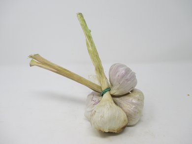 Aglio