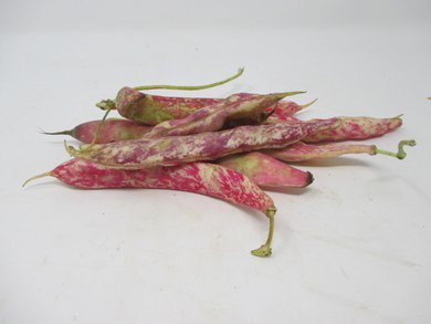 Fagioli Borlotti