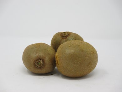 Kiwi II